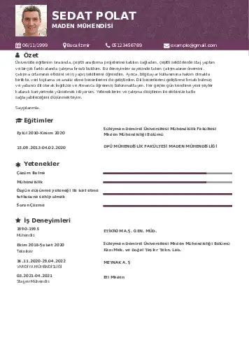 Maden Mühendisi Cv Örnekleri cv indir